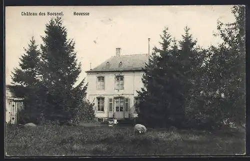 AK Bovesse, Château des Boesnel