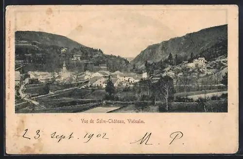 AK Vielsalm, Vue de Salm-Château