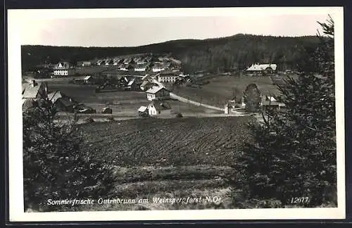 AK Gutenbrunn am Weinspergforst, Ortsansicht übers Feld