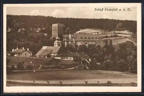 AK Enzesfeld a. d. Tr., Ortsansicht mit Schloss und Umgebung