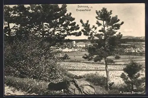 AK Enzesfeld, Ortsansicht mit Schloss