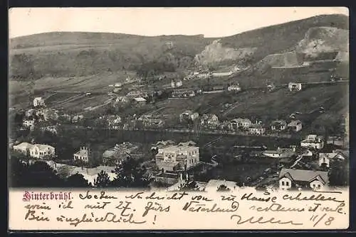 AK Hinterbrühl, Teilansicht aus der Vogelschau mit Felsenblick, Villen