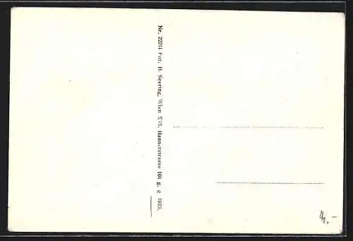 AK Emmersdorf i. d. Wachau a. d. Donau, Ortsansicht, Dampfer