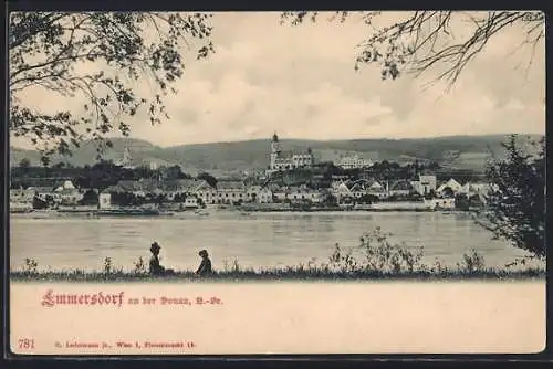 AK Emmersdorf an der Donau, Ortspanorama mit Donau und Ufer