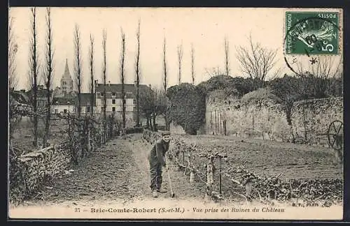 AK Brie-Comte-Robert, Vue prise des Ruines du Château