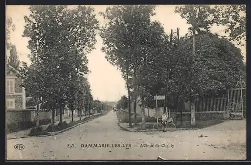 AK Dammarie-les-Lys, Avenue de Chailly