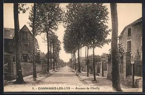 AK Dammarie-les-Lys, Avenue de Chailly