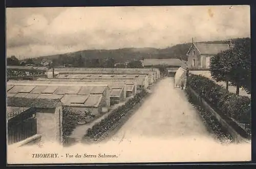 AK Thomery, Vue des Serres Salomon