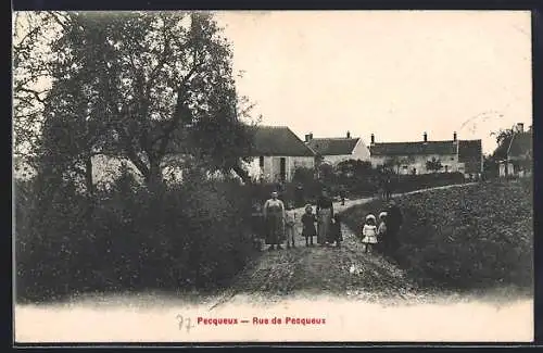 AK Pecqueux, Rue de Pecqueux avec habitants en promenade