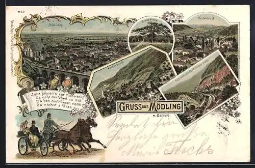 Lithographie Mödling /N. Öster., Ortsansicht aus der Vogelschau, Breite Föhre, Vorder- und Hinterbrühl