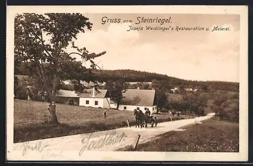 AK St. Andrä-Wördern, Joseja Weidlinger`s Restauration und Meierei am Steinriegel, Pferdekutsche