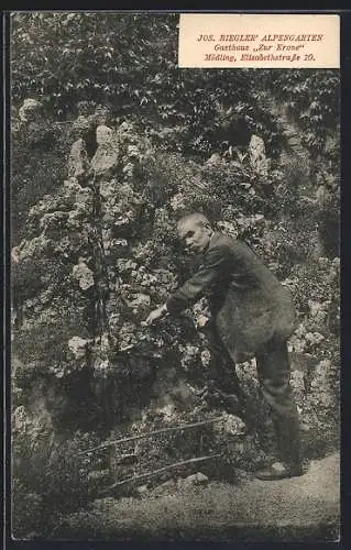 AK Mödling, Mann in Jos. Biegler`s Alpengarten am Gasthaus Zur Krone, Elisabethstrasse 10