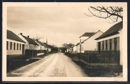 AK Absdorf a. d. Franz Josefsbahn, Strassenpartie mit Wohnhäusern