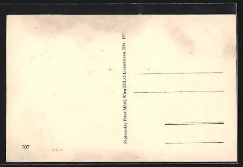 AK Absdorf a. d. Franz Josefsbahn, Strassenpartie mit Wohnhäusern