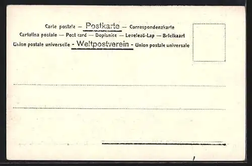 Foto-AK Mödling, Tausendjahrfeier, Festplatz mit Geschäften