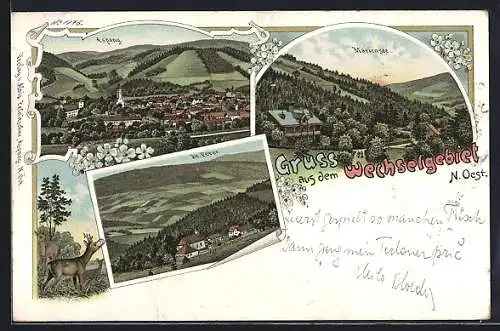 Lithographie Aspang, Ortspanorama, Ansichten von St. Peter und Mariensee