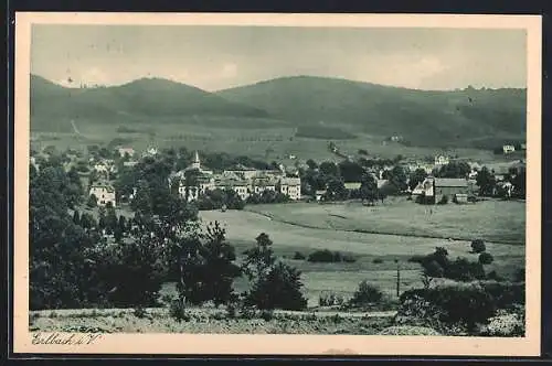 AK Erlbach / Vogtl., Blick zum Ort