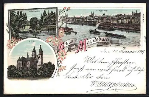 Lithographie Magdeburg, Elb-Ansicht mit Booten, Dom, Inselteich