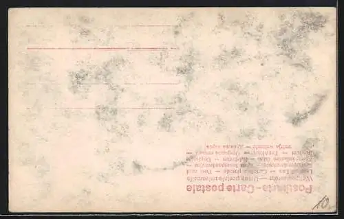 AK Brautwagen, Pferdegespann