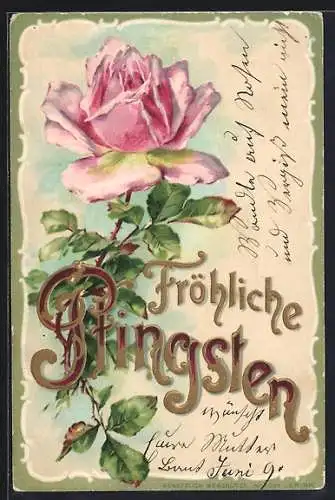 Präge-AK Blühende Rose mit Pfingstgruss