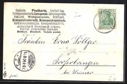 Künstler-AK August Müller - München: Zwei kleine Katzen betrachten einen Frosch