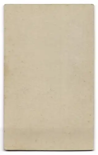 Fotografie Ernst Leube, Rochlitz, Schützenstr., Porträt eines jungen Mannes