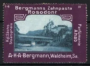 Reklamemarke Waldheim, Bergmanns Zahnpasta Rosodont, Burg Kriebstein