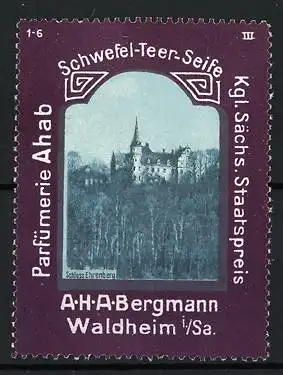 Reklamemarke Waldheim, Schwefel-Teer-Seife, Schloss Ehrenberg