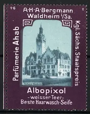 Reklamemarke Waldheim, Albopixol, beste Haarwasch-Seife, Rathaus Waldheim