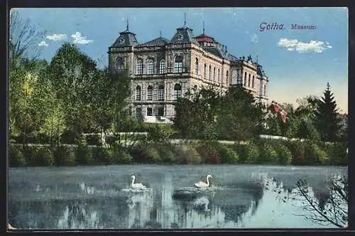 AK Gotha, Herzogliches Museum mit kleinem Parkteich