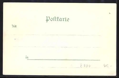 Lithographie Würzburg, Teilansicht der Stadt, Paar grüsst vom Tandem