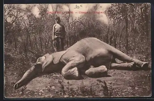 AK Congo Francais, Chasse à l`Elephant