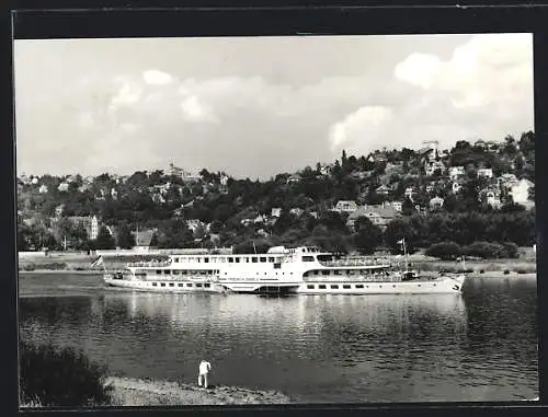 AK Dresden-Weisser Hirsch, Motorschiff Friedrich Engels auf der Elbe