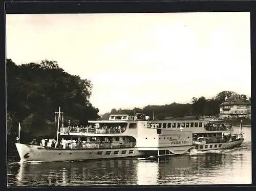 AK Dresden-Pillnitz, Luxusmotorschiff Wilhelm Pieck auf der Elbe