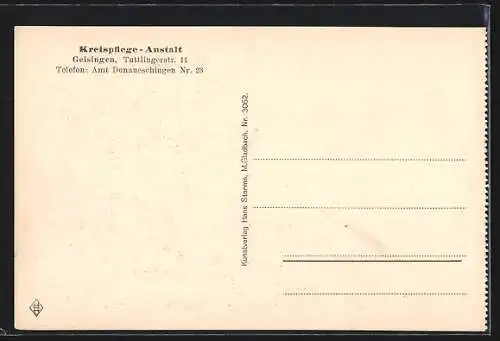 AK Geisingen / Baden, Kreispflege-Anstalt, Ansicht von Ortsrand