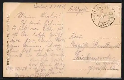 AK Calw, Gesamtansicht von Osten