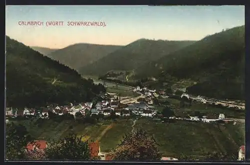 AK Calmbach /Württ. Schwarzwald