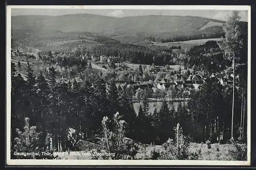 AK Georgenthal /Thür. Wald, Blick vom Ziegelberg