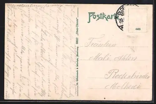 AK Oldenburg / O., Theater, Schloss und Park