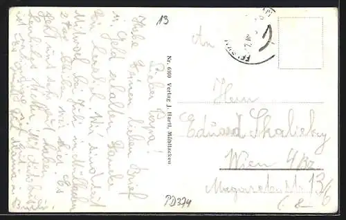 AK Bad Mühllacken, Motive aus dem Pesenbachtal, Ruine, Wegkreuz, Flussschnelle