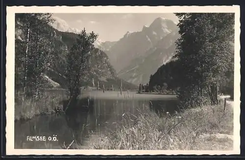 AK Grünau /Almtal, Uferpartie am Almsee mit Blick in die Berge