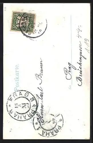 AK Regensburg, 150 jährige Residenz des Fürstenhauses von Thurn & Taxis in der Stadt 1898, Erbprinz Franz Joseph