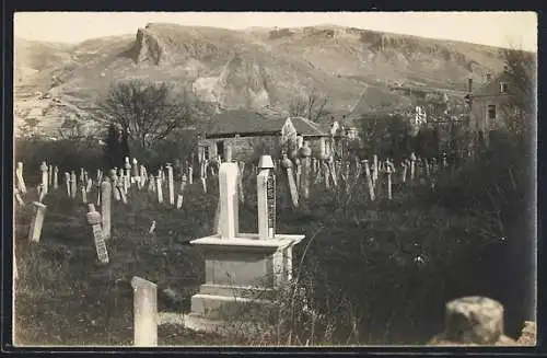 Foto-AK Friedhof mit Grabsteinen und Gebäuden, Bergpanorama