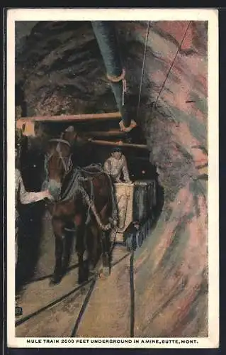 AK Butte, MT, Mule Train 2000 feet underground in a mine