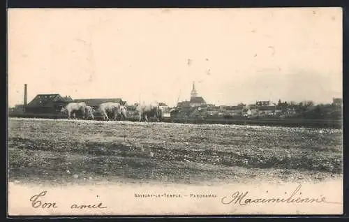 AK Savigny-le-Temple, Panorama avec troupeau et vue du village en arrière-plan