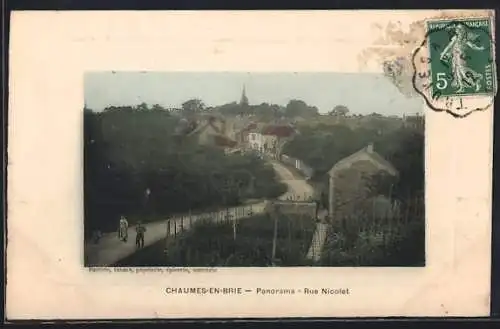 AK Chaumes-en-Brie, Panorama, Rue Nicolet