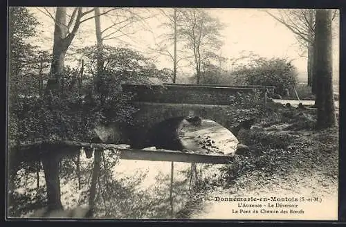 AK Donnemarie-en-Montois, L`Auxence, Le Déversoir, Le Pont du Chemin des Boeufs