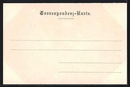 AK Horn, Teilansicht, Strassenpartie mit Geschäft, Schloss