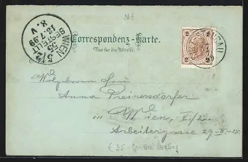 Mondschein-Lithographie Sulz-Stangau, Kirchenplatz, Geschäftshaus, Dr. J. Löw`s Wasserheilanstalt