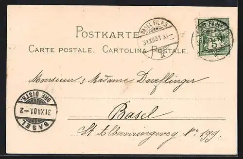 AK Jahreszahl 1902 aus Vergissmeinnicht, Neujahrsgruss